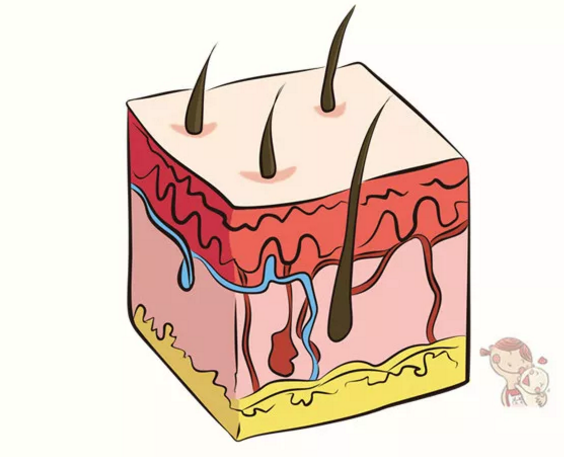 微量元素是什么（微量元素是什么检查项目）-硒宝网