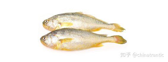 哪种海产品含硒高(哪些海产品含硒元素高)-硒宝网