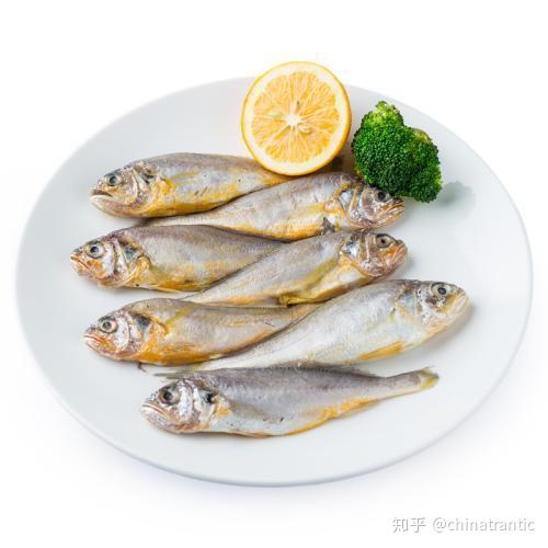 哪种海产品含硒高(哪些海产品含硒元素高)-硒宝网