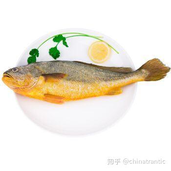 哪种海产品含硒高(哪些海产品含硒元素高)-硒宝网