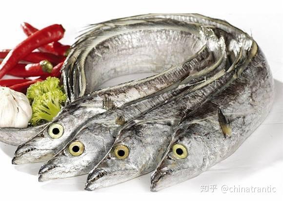 哪种海产品含硒高(哪些海产品含硒元素高)-硒宝网