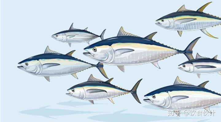 海产品硒含量高吗（富含硒的海产品）-硒宝网