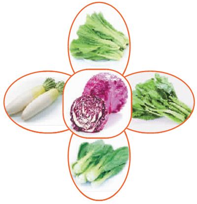 补钙的菜（吃什么菜补钙）-硒宝网