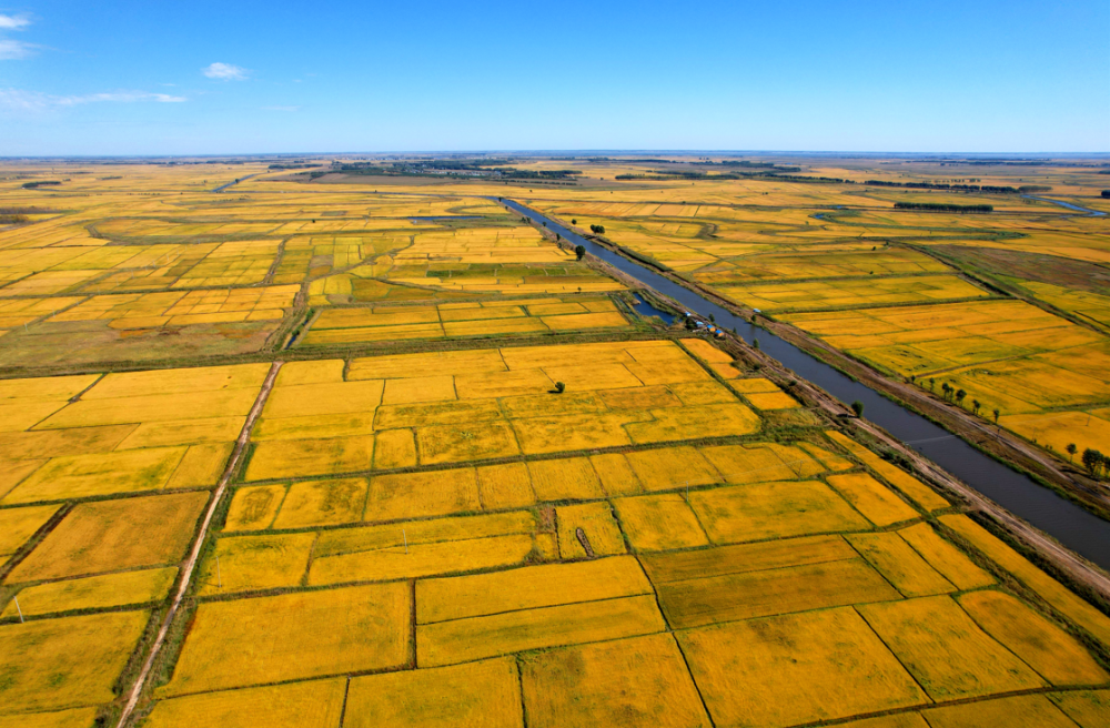 吉林省硒产品种植(吉林富硒苹果在哪儿)-硒宝网