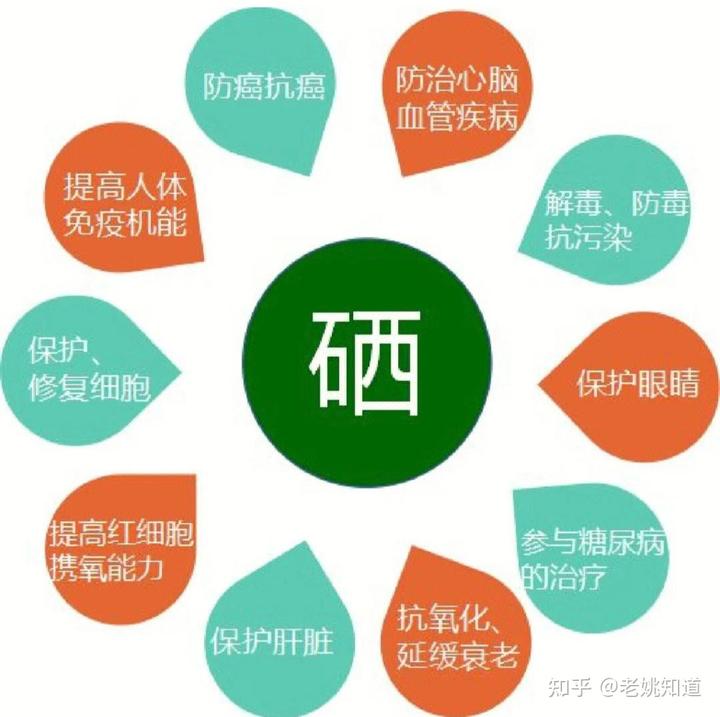 电子产品中不含硒(硒的电子层结构示意图)-硒宝网