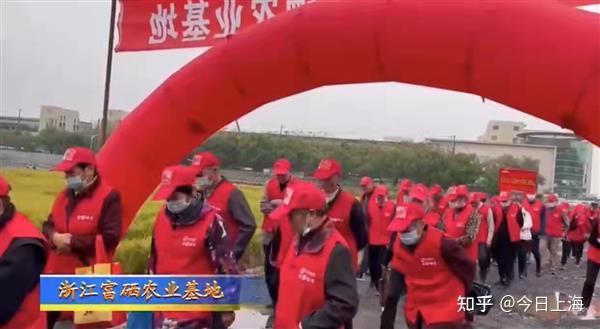 中国富硒农产品网(富硒农业技术网)-硒宝网