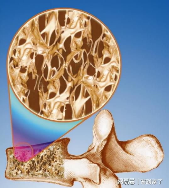 缺少微量元素的症状（缺少症状微量元素吃什么药）-硒宝网