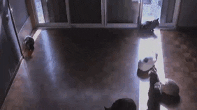 晒太阳补钙吗（晒太阳补钙需要直射吗）-硒宝网