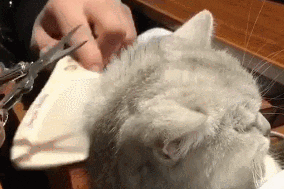 晒太阳补钙吗（晒太阳补钙需要直射吗）-硒宝网