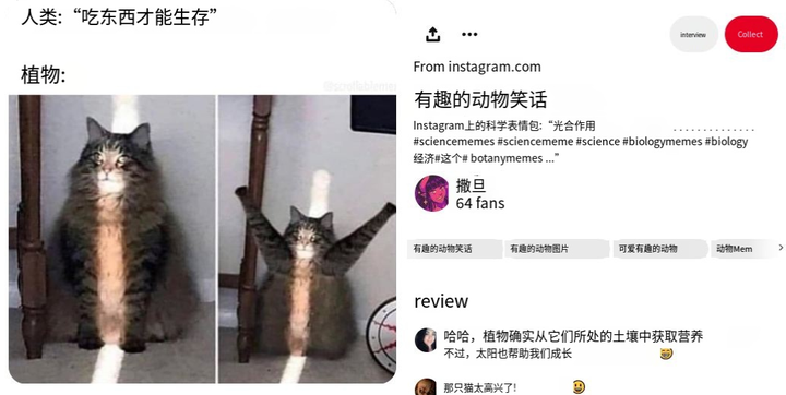 晒太阳补钙吗（晒太阳补钙需要直射吗）-硒宝网