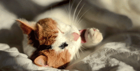 晒太阳补钙吗（晒太阳补钙需要直射吗）-硒宝网