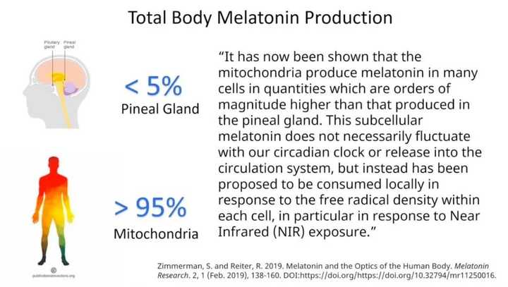 晒太阳补钙吗（晒太阳补钙需要直射吗）-硒宝网