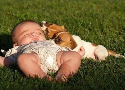 晒太阳补钙吗（晒太阳补钙要晒到皮肤吗）-硒宝网