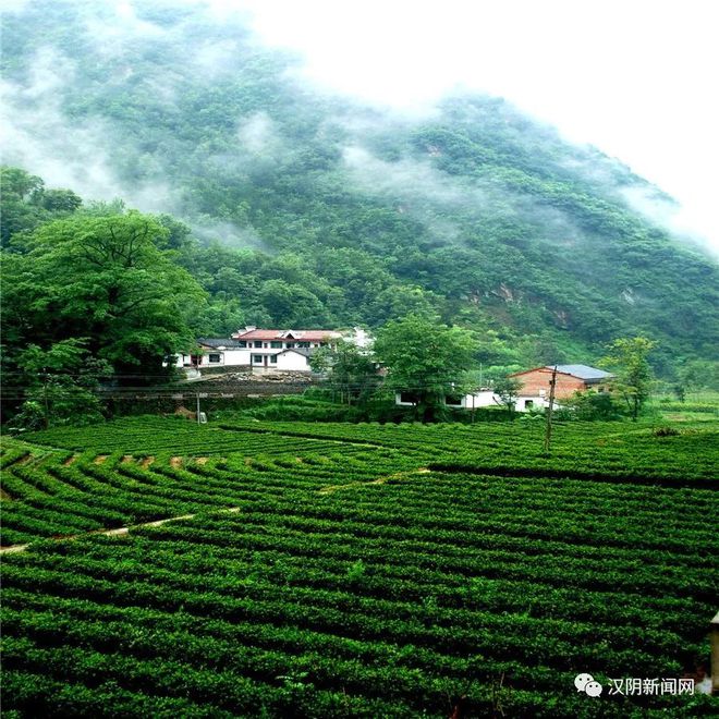 石家庄嘉硒农产品(石家庄藁城区农佳肥业)-硒宝网