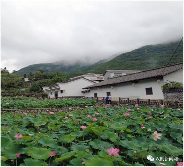 石家庄嘉硒农产品(石家庄藁城区农佳肥业)-硒宝网