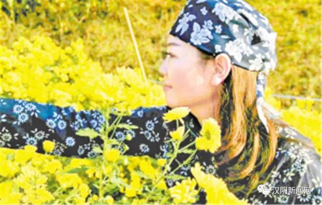 石家庄嘉硒农产品(石家庄藁城区农佳肥业)-硒宝网