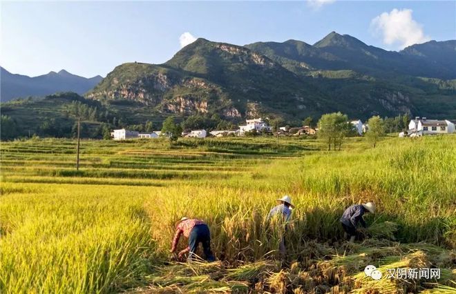 石家庄嘉硒农产品(石家庄藁城区农佳肥业)-硒宝网