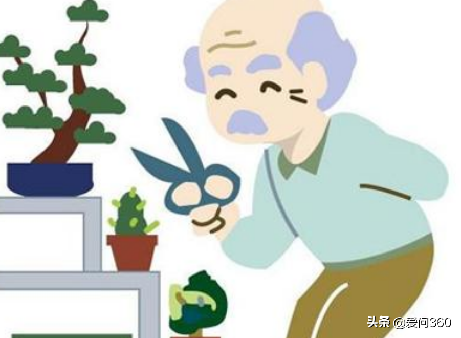 中老年人 补钙(补钙老年人中药方剂)-硒宝网