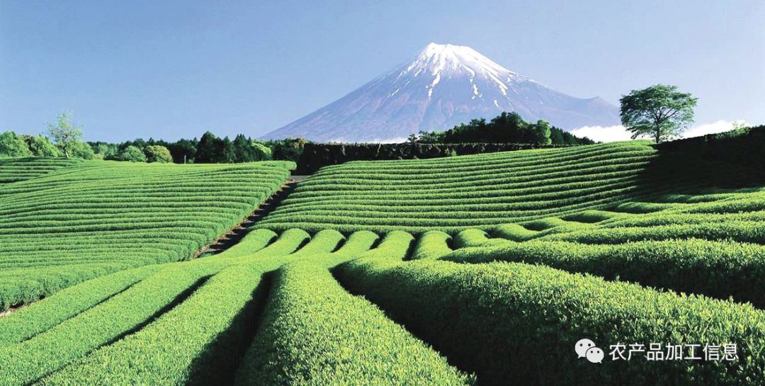 有硒农产品广告语(保健品中农硒)-硒宝网