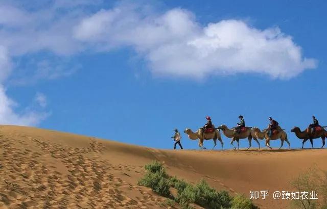 硒有天成农副产品（天成农副产品硒有几种）-硒宝网