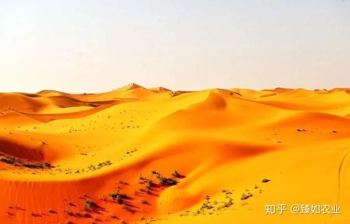 硒有天成农副产品（天成农副产品硒有几种）-硒宝网