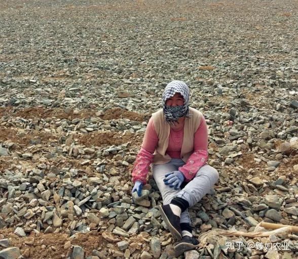 硒有天成农副产品（天成农副产品硒有几种）-硒宝网