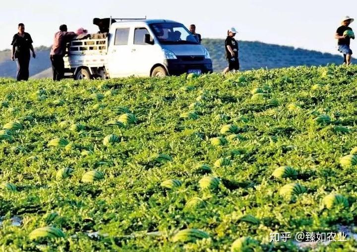 硒有天成农副产品（天成农副产品硒有几种）-硒宝网