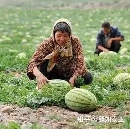 硒有天成农副产品（天成农副产品硒有几种）-硒宝网