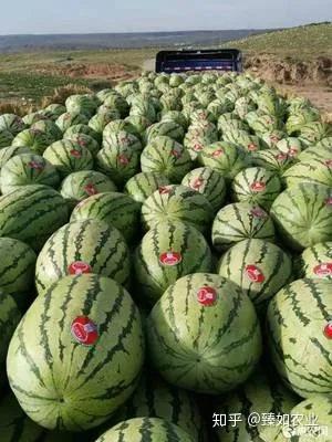 硒有天成农副产品（天成农副产品硒有几种）-硒宝网