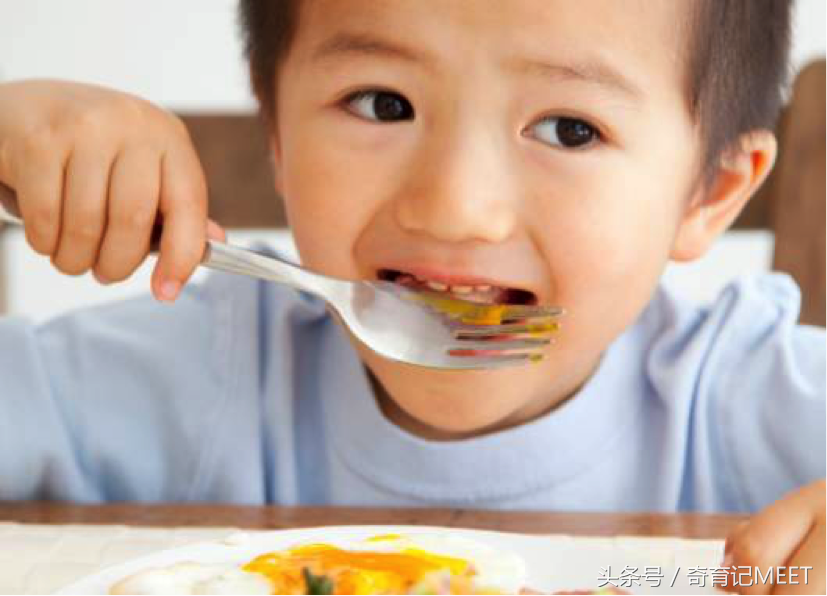 细胞中的微量元素（细胞微量元素中含有什么）-硒宝网