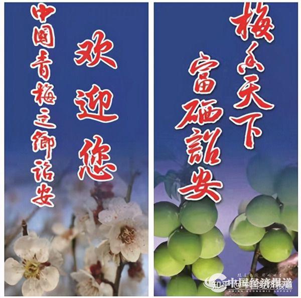 真硒水产品推介会（硒产品市?。?硒宝网