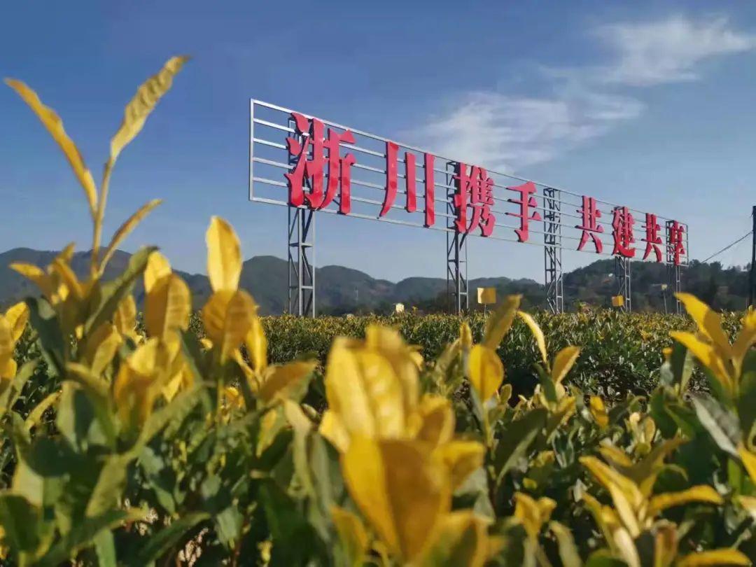 真硒万源农副产品（万源市硒源农贸有限公司）-硒宝网