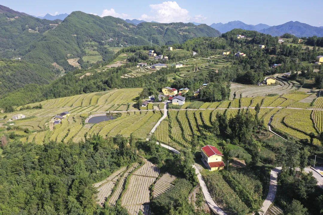 真硒万源农副产品（万源市硒源农贸有限公司）-硒宝网