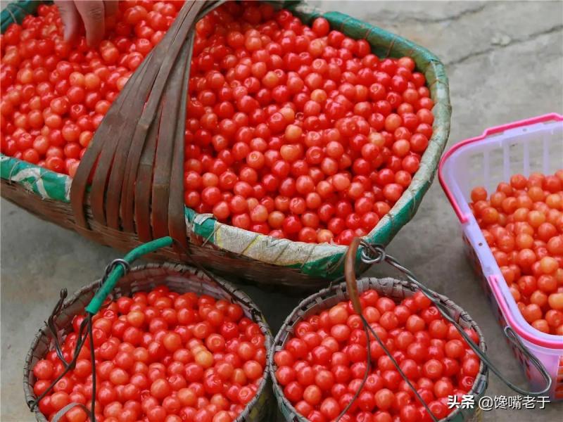 补铁的食物有哪些（食物补铁有哪些）-硒宝网