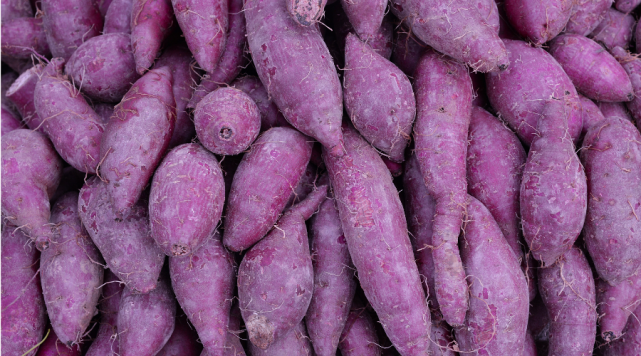 硒维康 胃癌疼痛(胃癌硒)-硒宝网