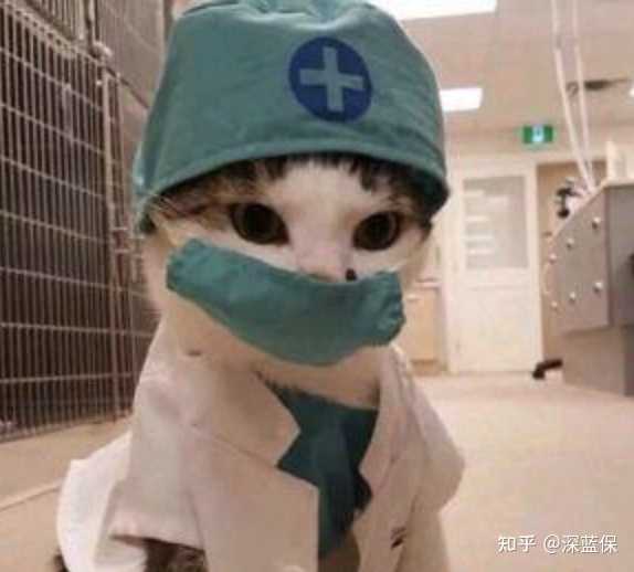 治疗hpv硒维康(硒维康可以清除hpv病毒吗)-硒宝网