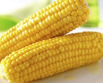 补铁的食物有哪些(食物补铁有什么)-硒宝网