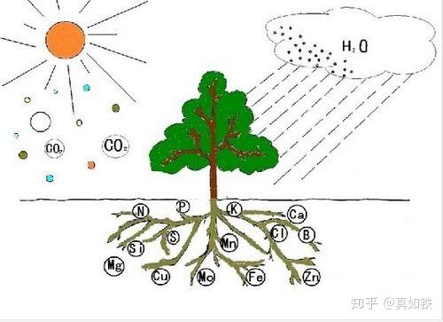 铜微量元素（微量铜元素铜离子）-硒宝网