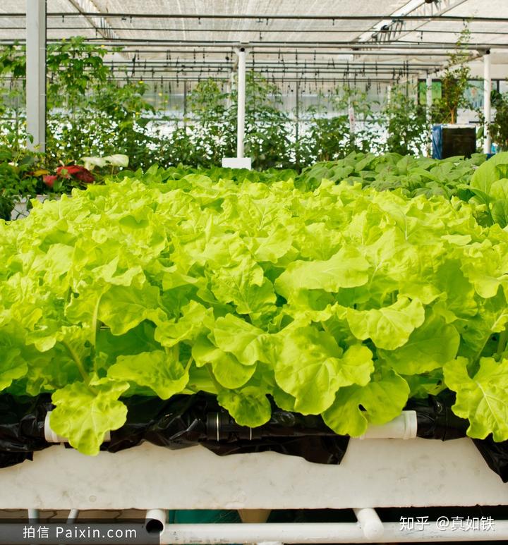 铜微量元素（微量铜元素铜离子）-硒宝网