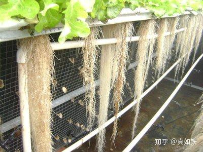 铜微量元素（微量铜元素铜离子）-硒宝网