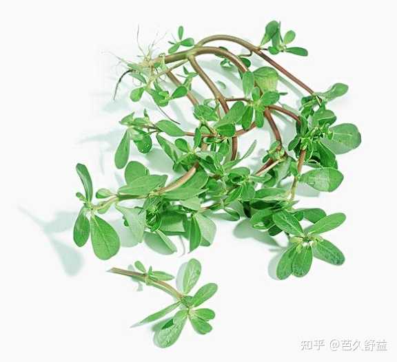 甲状腺结节硒维康(甲状腺结节能吃硒维康口嚼片吗)-硒宝网