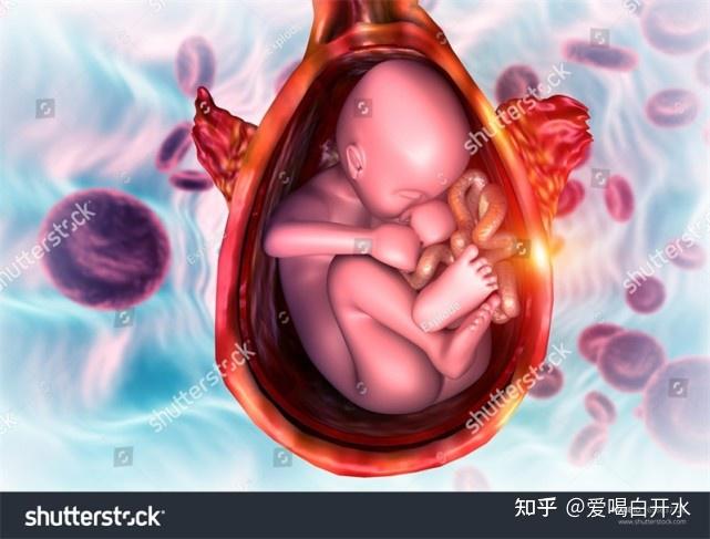 孕妇可以吃硒维康(孕妇吃硒维康可以补钙吗)-硒宝网