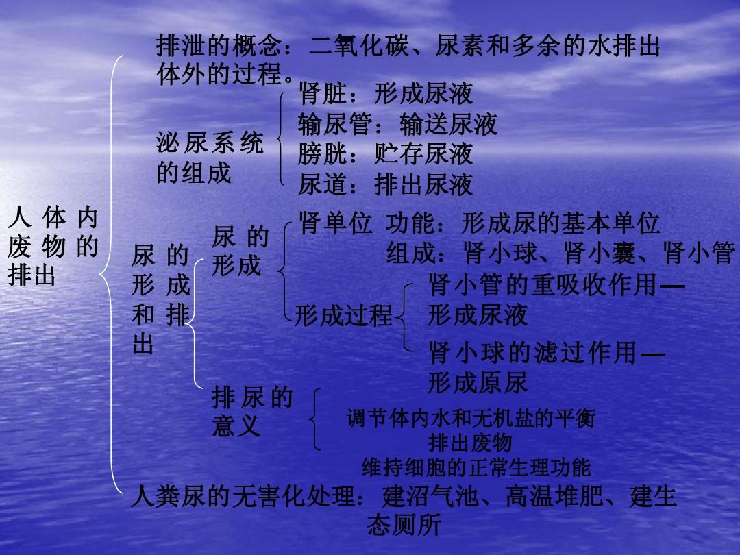 狗狗吃微量元素的作用(狗狗微量元素片有用吗)-硒宝网