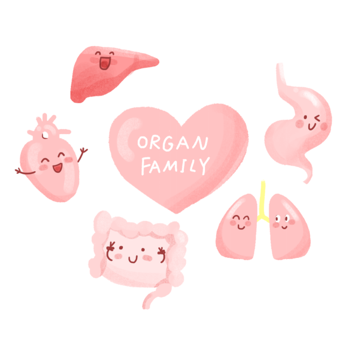 铜微量元素（微量铜元素偏低怎么办）-硒宝网