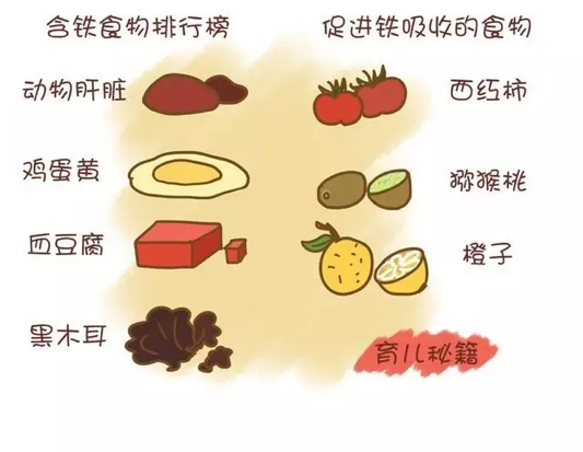 补铁食物前十名（食物补铁的最佳选择是）-硒宝网