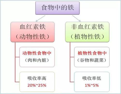 补铁食物前十名（食物补铁的最佳选择是）-硒宝网