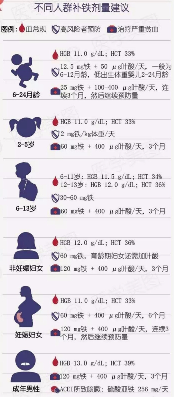 补铁食物前十名（食物补铁的最佳选择是）-硒宝网