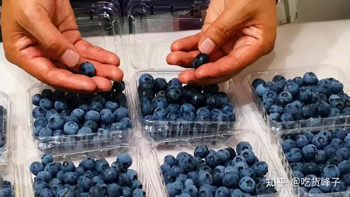 补钙水果(缺钙吃什么水果补钙)-硒宝网