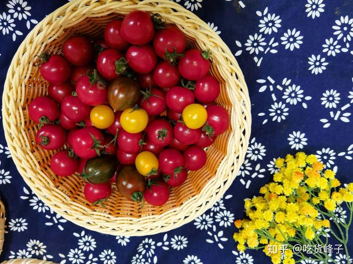 补钙水果(缺钙吃什么水果补钙)-硒宝网