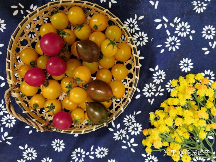 补钙水果(缺钙吃什么水果补钙)-硒宝网